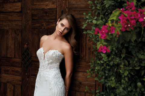 Eddy K. 2024 Collections