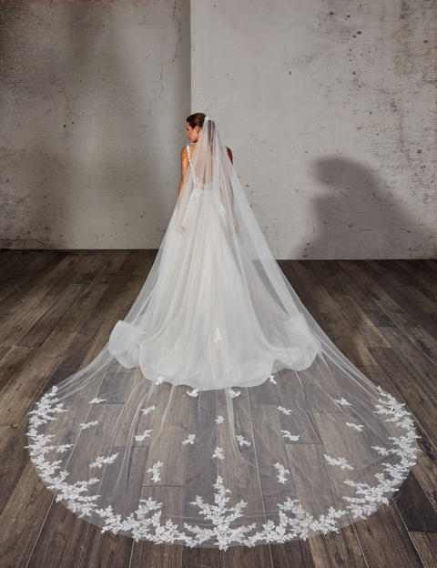 Eddy K. 2024 Collections