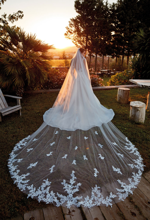 Eddy K. 2024 Collections