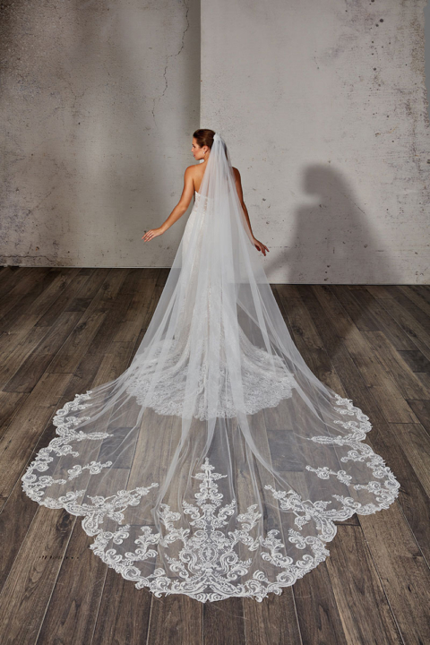 Eddy K. 2024 Collections