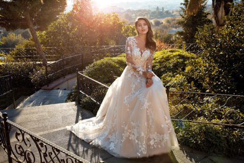 Eddy K. 2024 Collections