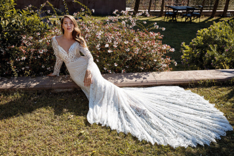 Eddy K. 2024 Collections